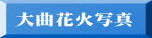 ��ȉԉΎʐ^