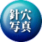 �j�� �ʐ^