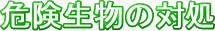 댯̑Ώ