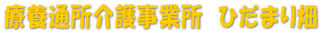 ×{ʏ쎖Ə@Ђ܂蔨 