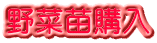 野菜苗購入