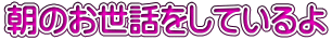 朝のお世話をしているよ