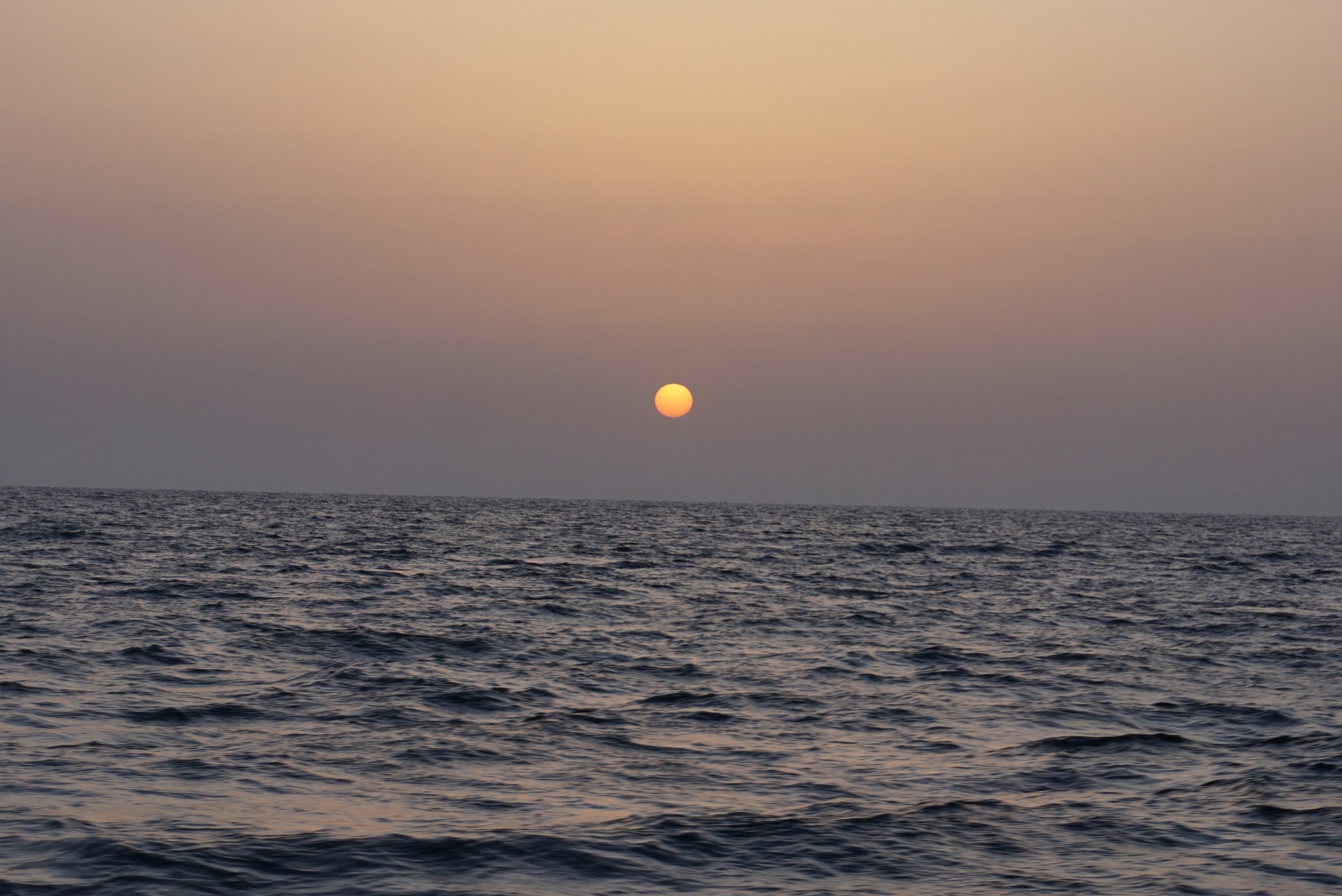  @S eTލsII