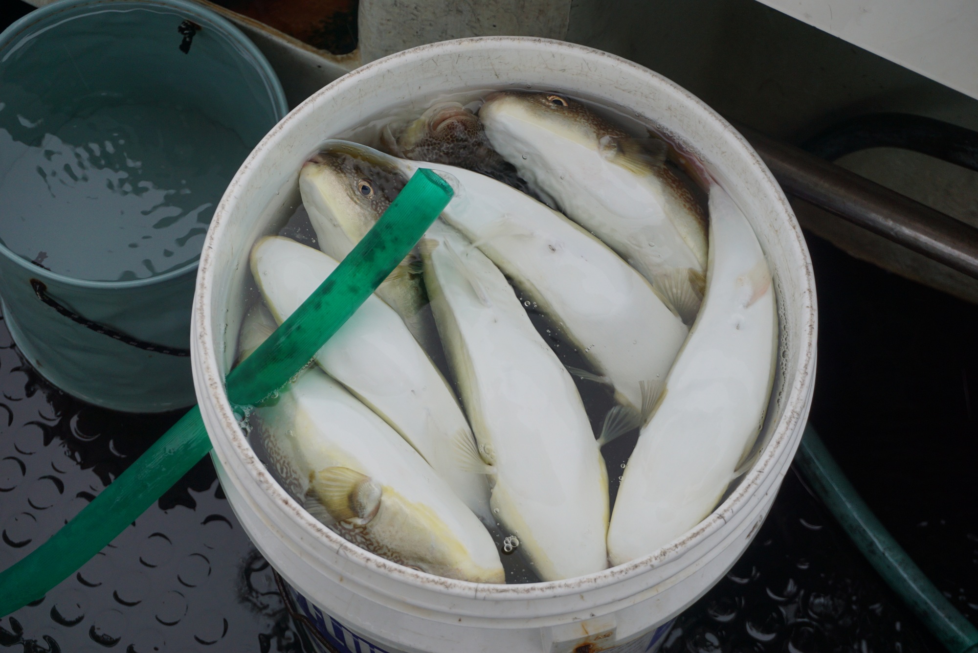 �V���E�T�C�t�O�ނ�