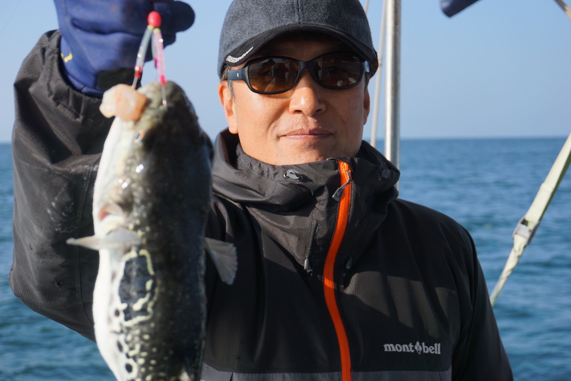 �V���E�T�C�t�O�ނ�