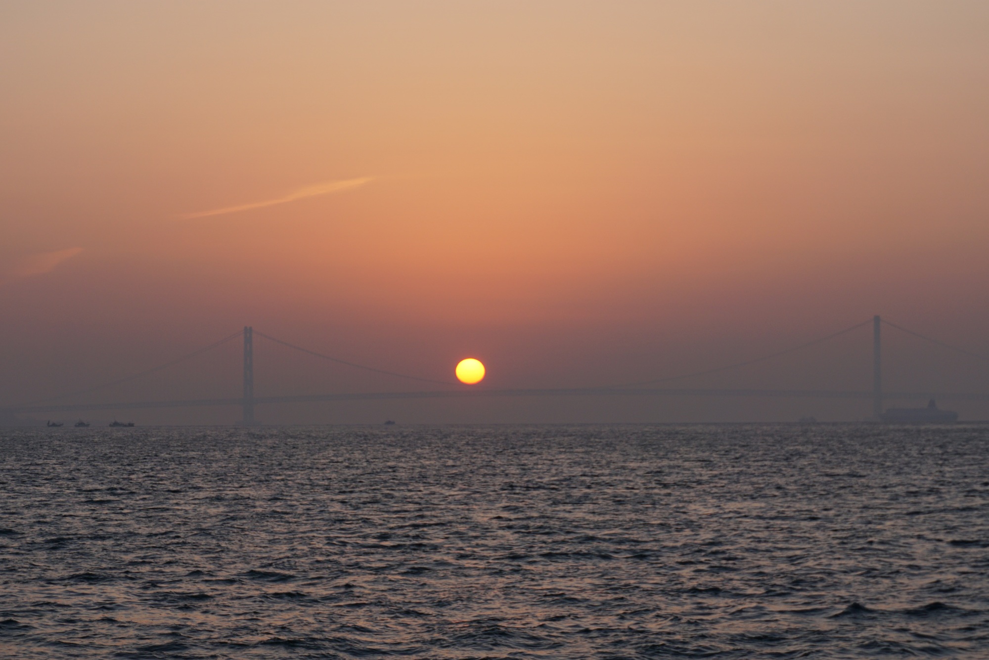  �@�Q�� �P�S���ލs�I�I