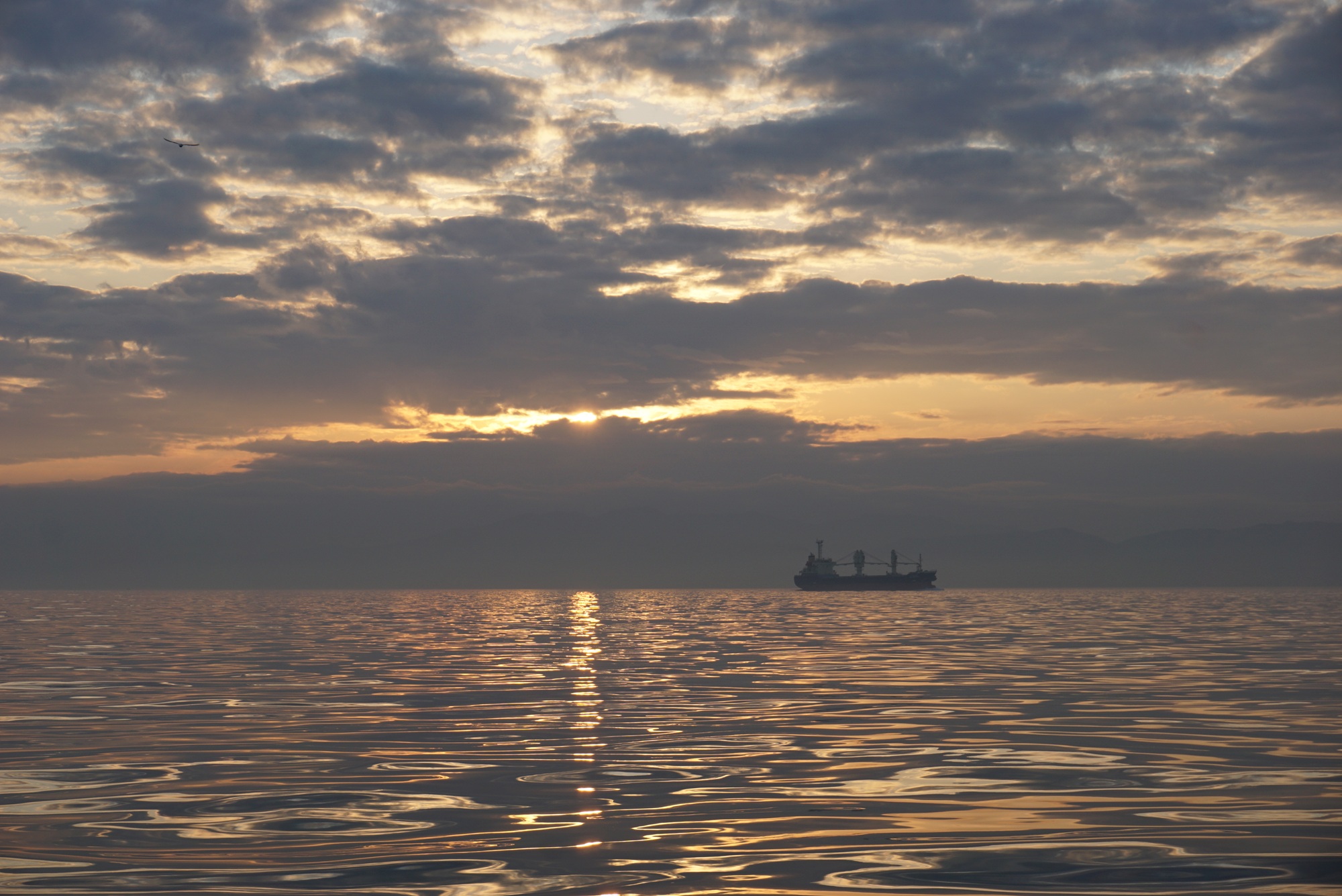  �@�Q�� �P�T���ލs�I�I