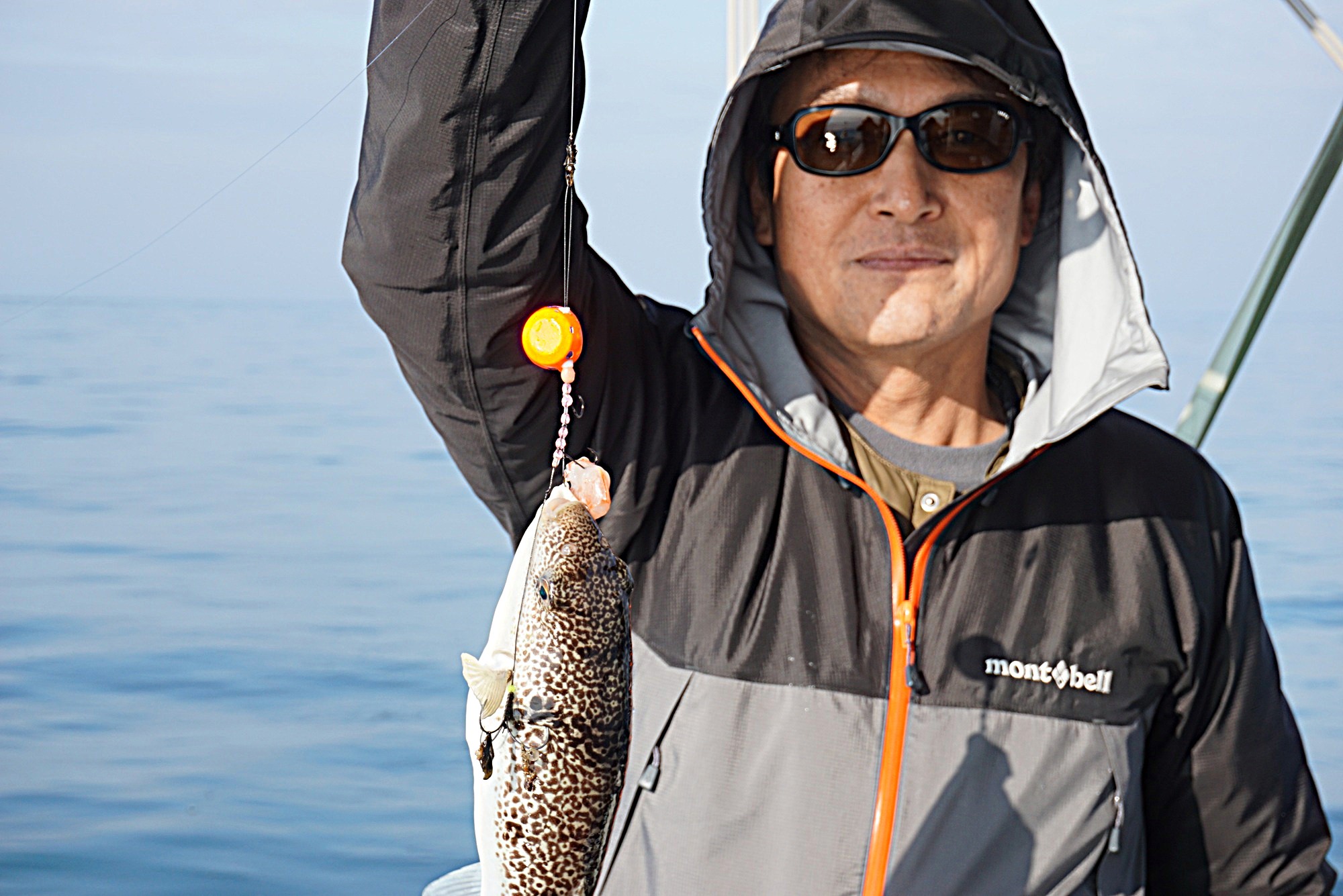 �V���E�T�C�t�O�ނ�