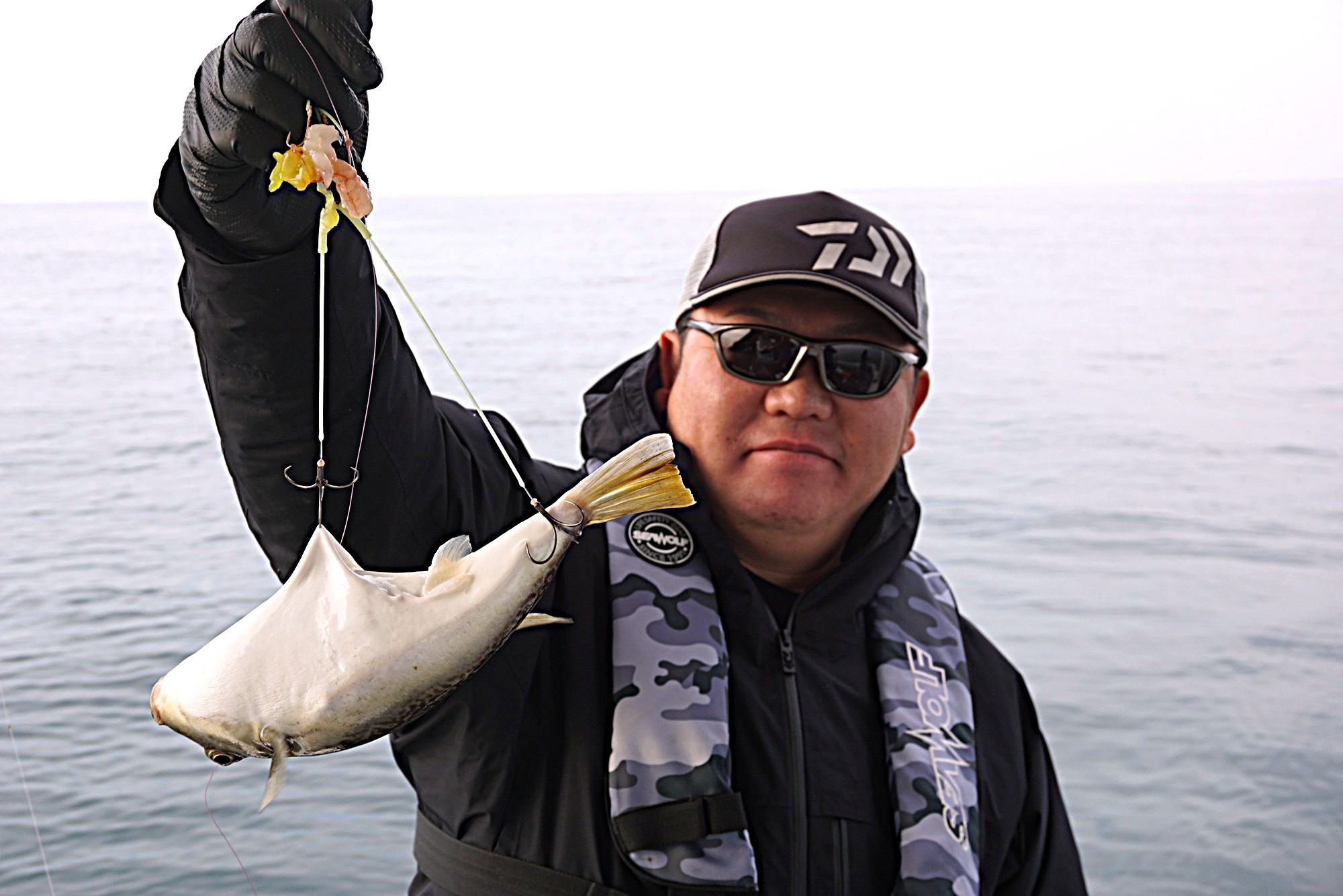 �V���E�T�C�t�O�ނ�