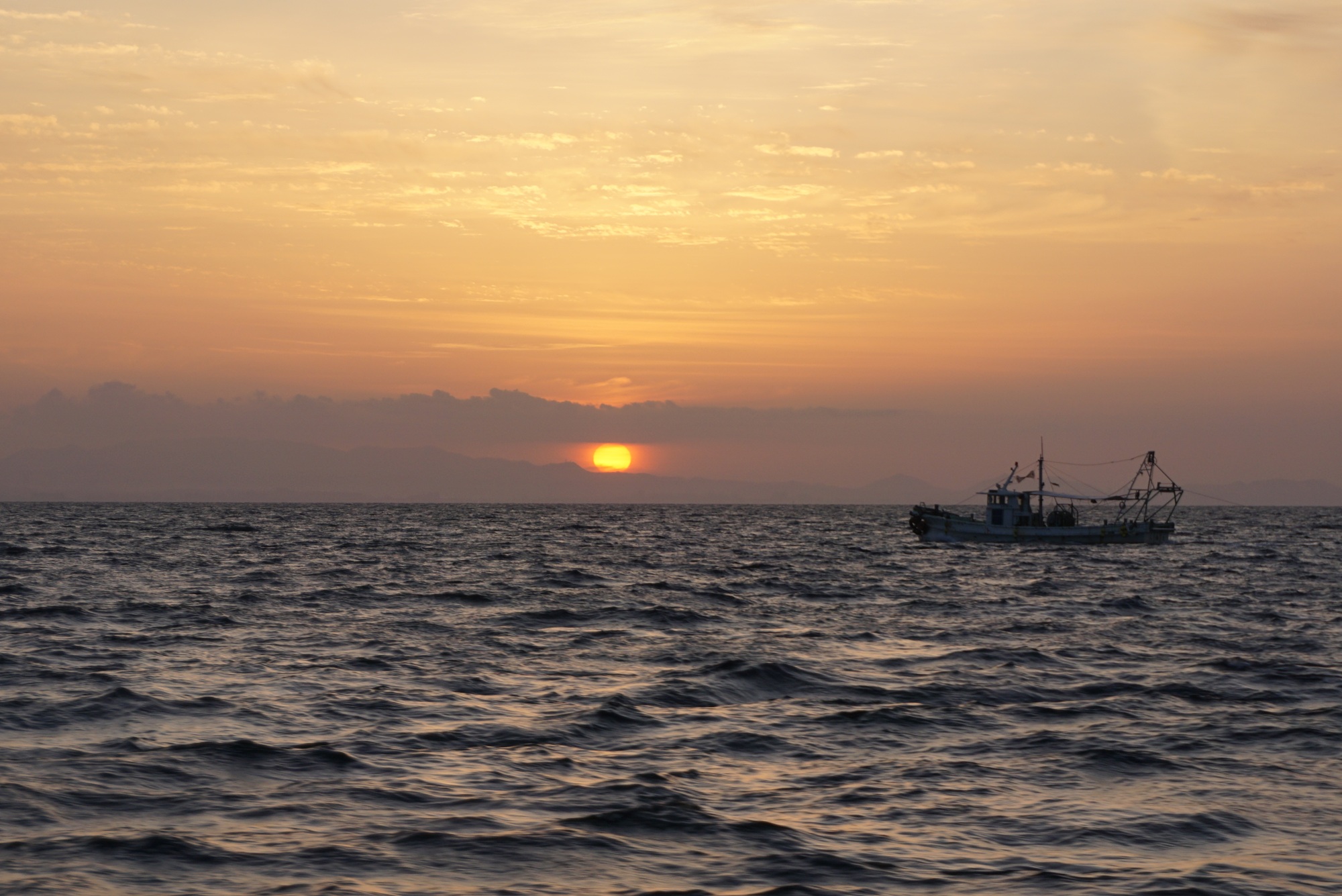  �@�S�� �P�V���ލs�I�I