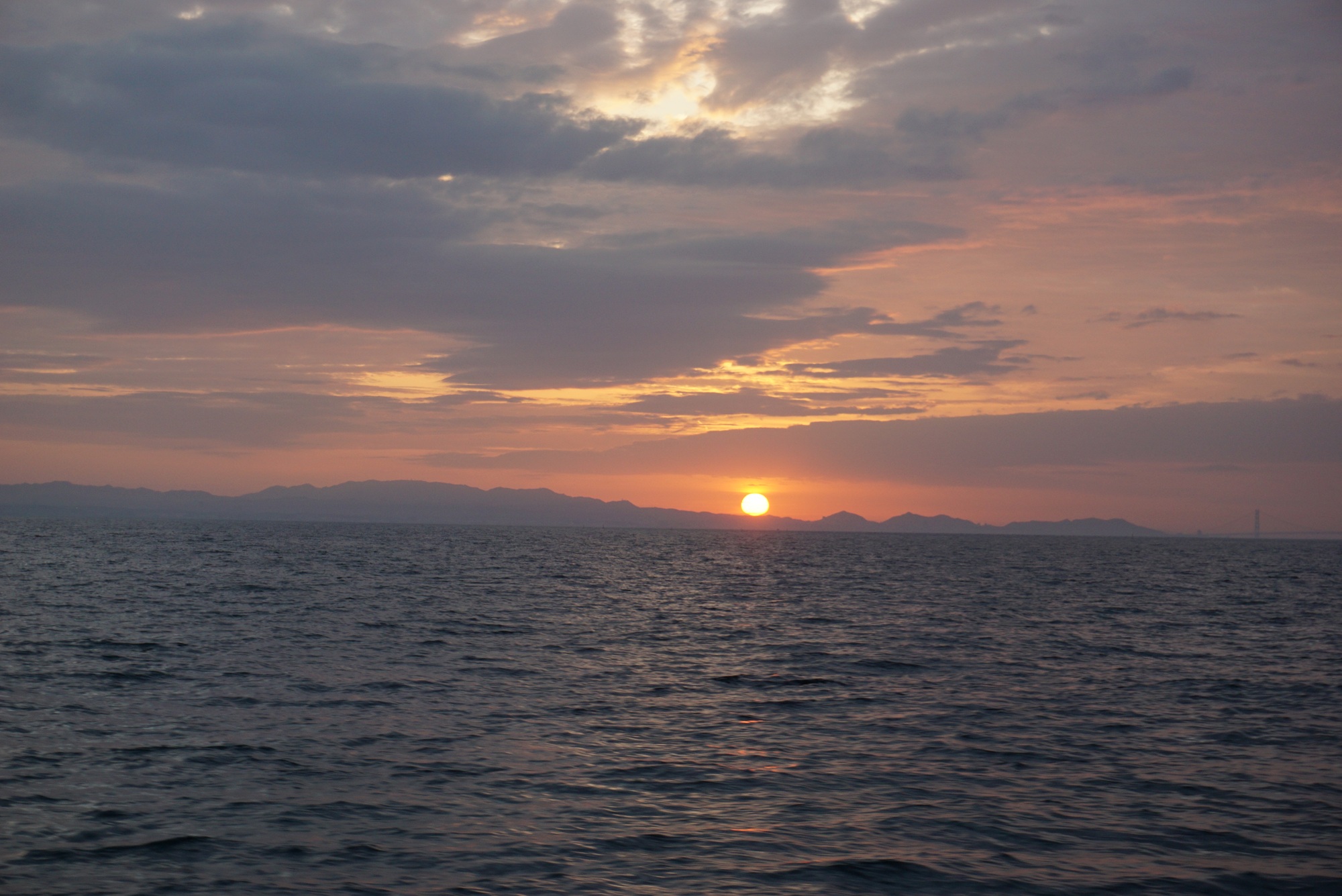  �@�S�� �P�W���ލs�I�I