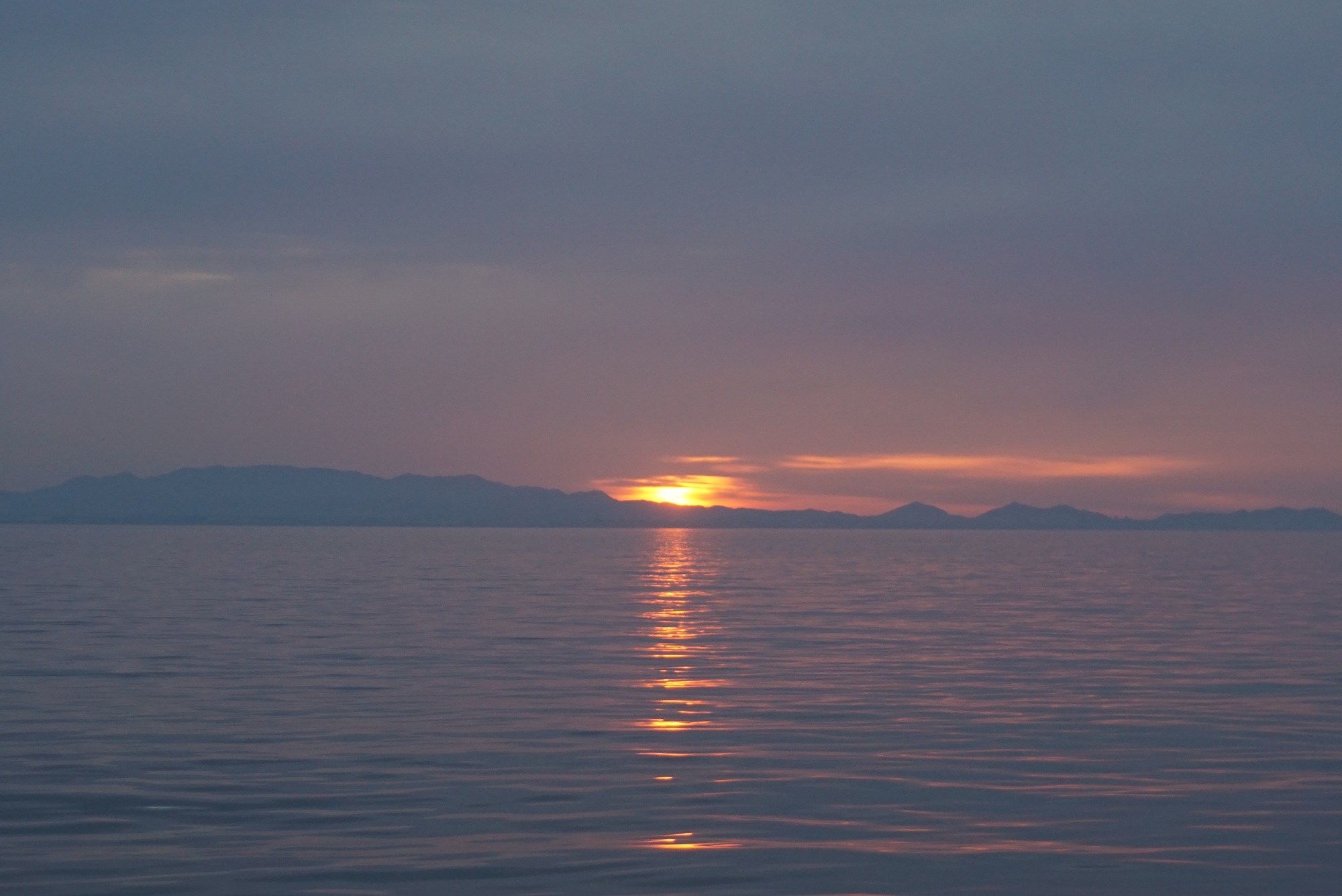  �@�S�� �P�X���ލs�I�I